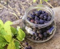 Black raspberries in a glass container, ingathering
