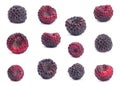 Black raspberry Cumberland set