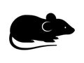 Black rat, mouse, rodent, cute silhouette. Vector Royalty Free Stock Photo