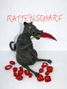 Black rat with red chili , isolated on white background