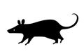 Black rat silhouette. Vector Royalty Free Stock Photo