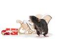 Black rat with wooden sleigh Royalty Free Stock Photo