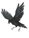 Negro cuervo pájaro cuervo diseño plano en blanco 