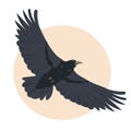 Black raven bird flying in the sky. Raven icon.