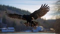 Black Raven In Flight: Native American Art Inspired By Nikon D850