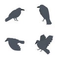 Black raven icons set cartoon vector. Cute cartoon raven Royalty Free Stock Photo