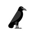 Black Raven isolated. Black crow symbol of death Royalty Free Stock Photo