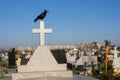 A black raven sits on the cross of a grave in a cemetery Royalty Free Stock Photo