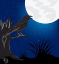 Black raven on tree in the night