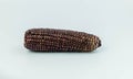 Black raw corn on white background Royalty Free Stock Photo