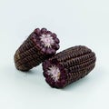 Black raw corn on white background Royalty Free Stock Photo