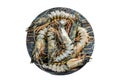 Black raw tiger shrimps. Isolated, white background. Royalty Free Stock Photo