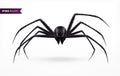 Black Realistic Spider Royalty Free Stock Photo