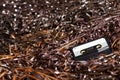 Blank Recordable Audio Cassette on Magnetic Tape - Selective Focus Royalty Free Stock Photo