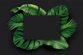 Black rectangle blank card with green exotic jungle leaves on black background. Monstera, philodendron, fan palm, banana