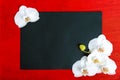 The black rectangle A4 size on a red wooden background decorated with white orchid flowers.