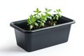 Black Rectangular Plastic Flower Pot for Seedlings Insulation on a White Background Royalty Free Stock Photo