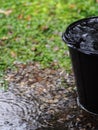 Black recycling plastic bucket on the floor outdoor surrounding with green area environment, raindrops splash and reflection o