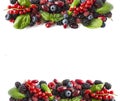 Black and red berries isolated on white. Ripe blackberries, blueberries, red currants, raspberries, cornels ls and basil leaves on Royalty Free Stock Photo