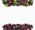 Black and red berries isolated on white. Ripe blackberries, raspberries and basil leaves on white background. Sweet and juicy ber Royalty Free Stock Photo