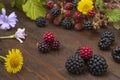 Black and red berries with flowers