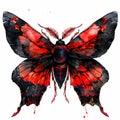 a black and red butterfly Royalty Free Stock Photo