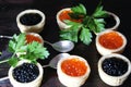 Black and red caviar for guests and friends. Royalty Free Stock Photo