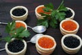 Black and red caviar for guests and friends. Royalty Free Stock Photo