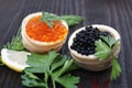 Black and red caviar for guests and friends. Royalty Free Stock Photo