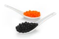 Black and red caviar on porcelain spoons Royalty Free Stock Photo