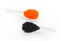 Black and red caviar on porcelain spoons Royalty Free Stock Photo