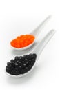 Black and red caviar on porcelain spoons Royalty Free Stock Photo