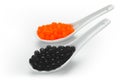 Black and red caviar on porcelain spoons Royalty Free Stock Photo