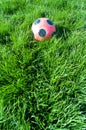 Soccer ball on the grass