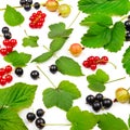 Black and red currants, gooseberries and leaves isolated on whit Royalty Free Stock Photo