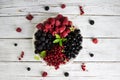 Black and red currants, black and red raspberries on a plate with a leaf of raspberry, white background Royalty Free Stock Photo