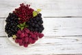 Black and red currants, black and red raspberries on a plate with a leaf of raspberry, white background Royalty Free Stock Photo