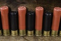 Black and Red 12-Gauge Shotgun Shells Royalty Free Stock Photo