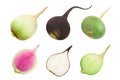 Black red and green radish with half isolated on white background. Top view. Flat lay. Set or collection Royalty Free Stock Photo