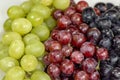 Black, red, green seedless grapes in a deep white bowl Royalty Free Stock Photo