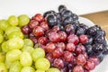 Black, red, green seedless grapes in a deep white bowl