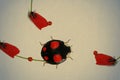 Red butterfly and ladybugs. Poppy flower. Stem with single red petal on corolla. Old texture