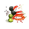Black and red pepper hand draw illustration. Chilli. Black pepper or piper nigrum. Flowering vine in the family