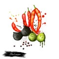 Black and red pepper hand draw illustration. Chilli. Black pepper or piper nigrum. Flowering vine in the family Piperaceae. Dried