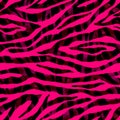 Black, red and pink abstract zebra striped textured seamless pattern Royalty Free Stock Photo