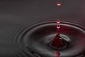 Black and red Water drops Royalty Free Stock Photo