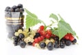 Black, red and white currant Royalty Free Stock Photo