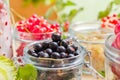 Black red white currants gooseberries cherries jars preparations Royalty Free Stock Photo