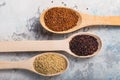 Black, red and white quinoa grains in a wooden spoon on white background. Gluten free Healthy food. Chenopodium quinoa closeup Royalty Free Stock Photo