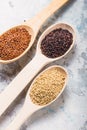 Black, red and white quinoa grains in a wooden spoon on white background. Gluten free Healthy food. Chenopodium quinoa closeup Royalty Free Stock Photo